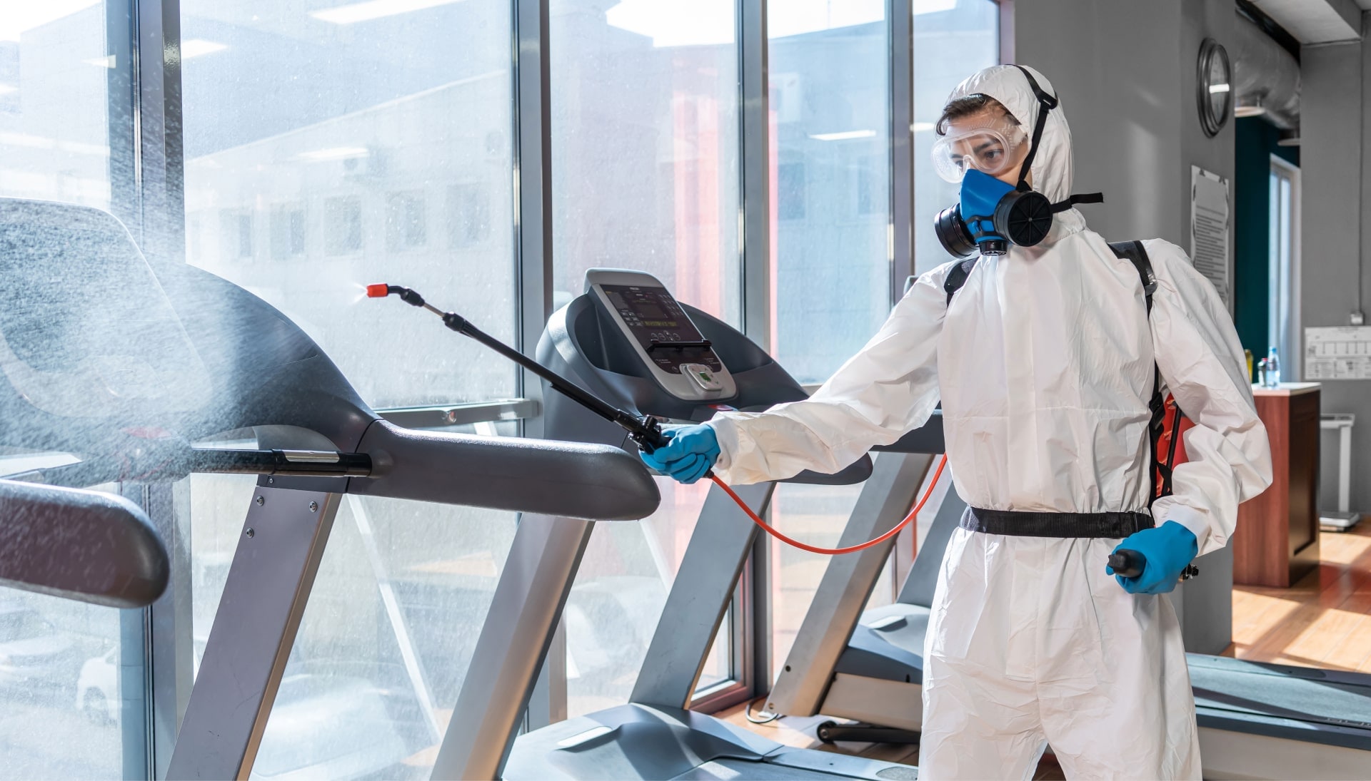 Commercial Mold Removal Services in Carmel