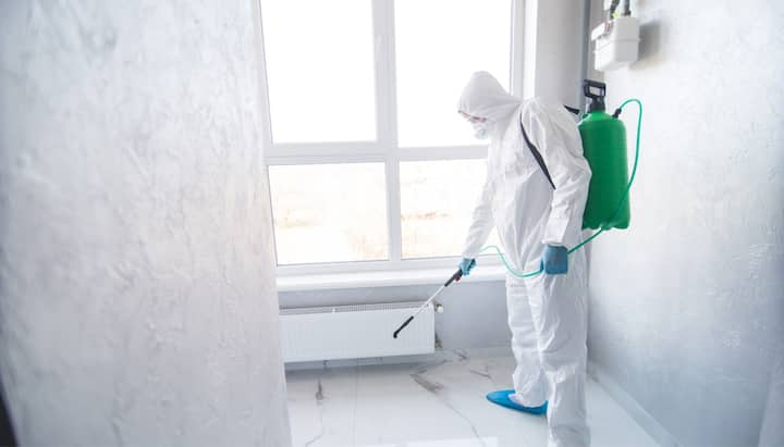 Mold Inspection Services in Carmel